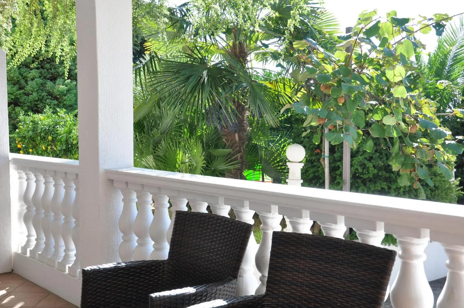 Pokrita terasa apartmaja B z belo balustrado med palmami