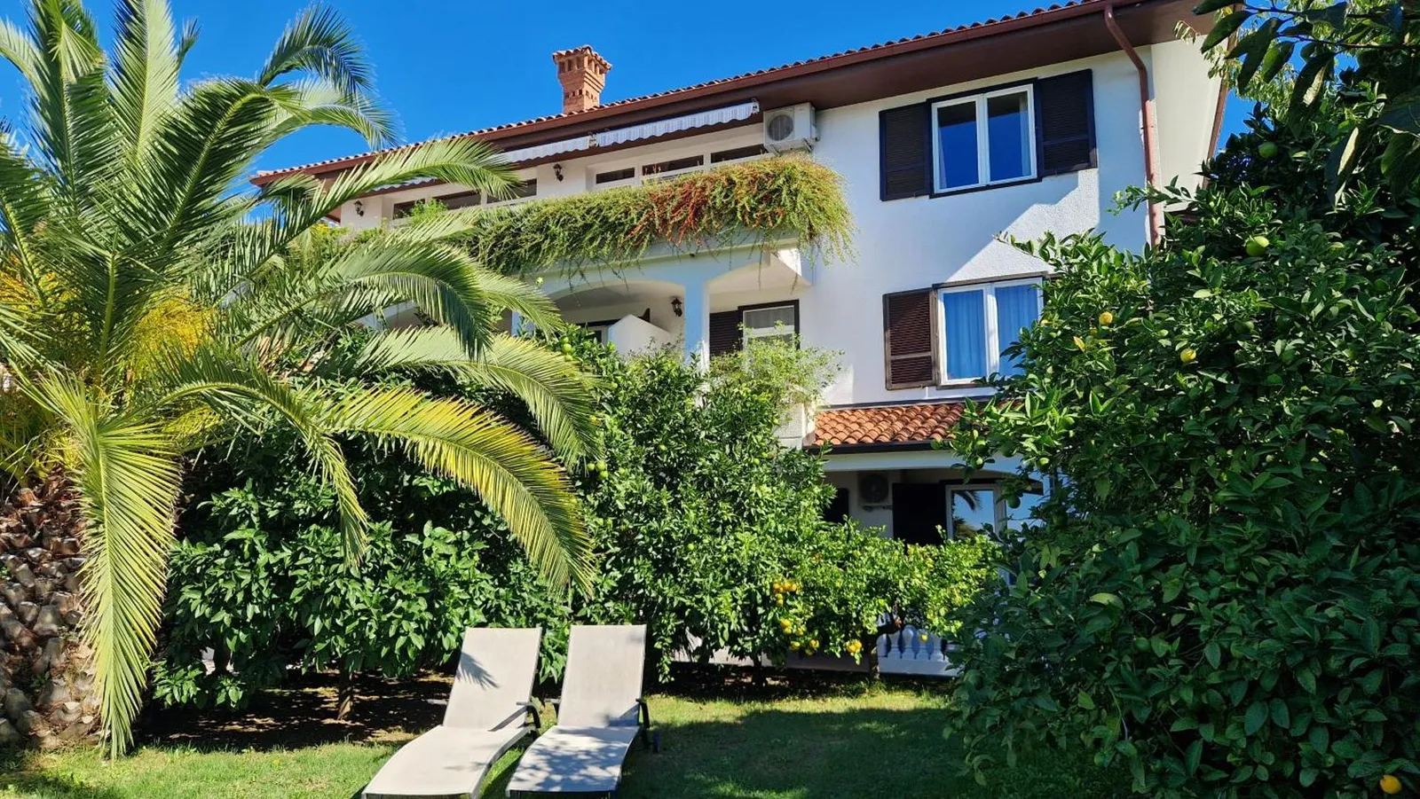 Vila z vrtom, palmami in ležalnikoma